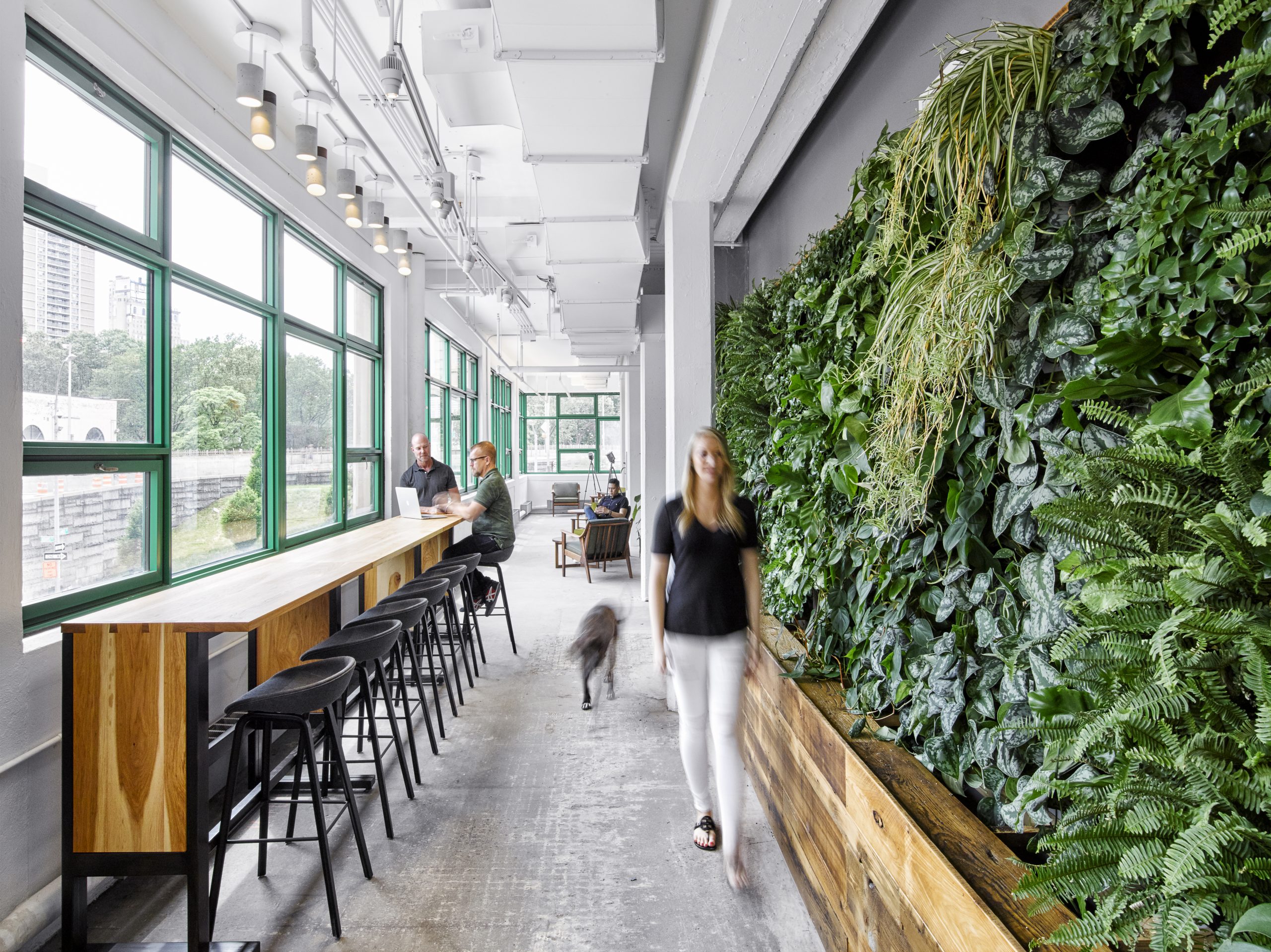 green wall at etsy office